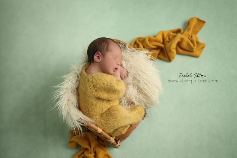 מנטה ירקרק- אצילות ואומנות