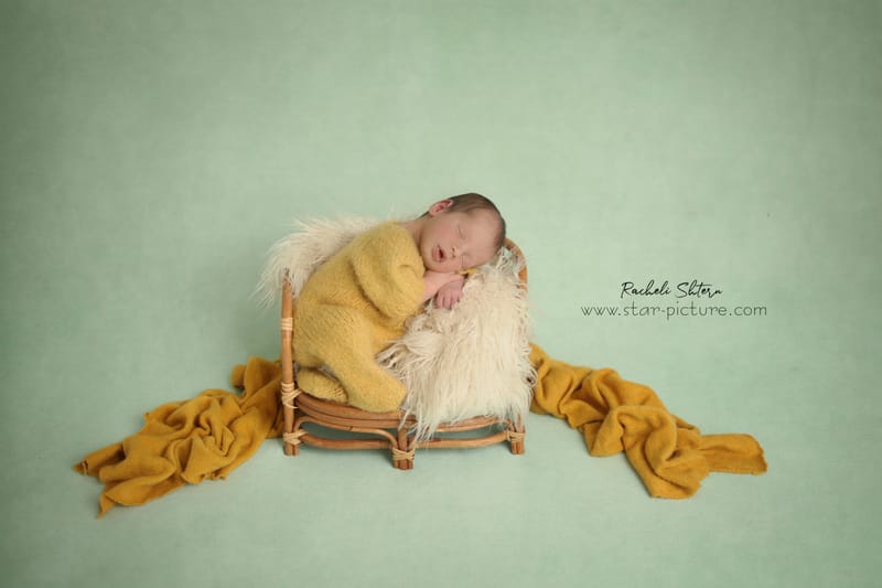 מנטה ירקרק- אצילות ואומנות