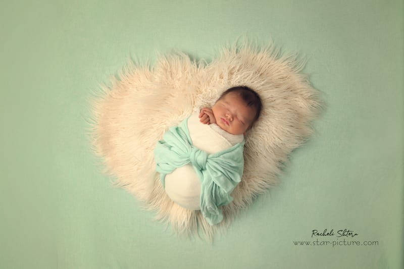 מנטה ירקרק- אצילות ואומנות