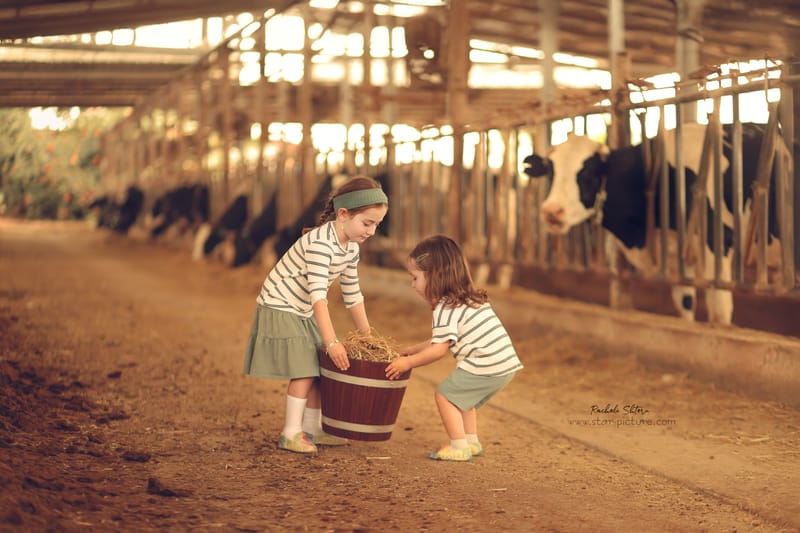 הטוהר הזה של הבונבון שבגזירת תלתל נהיה גבר קטן