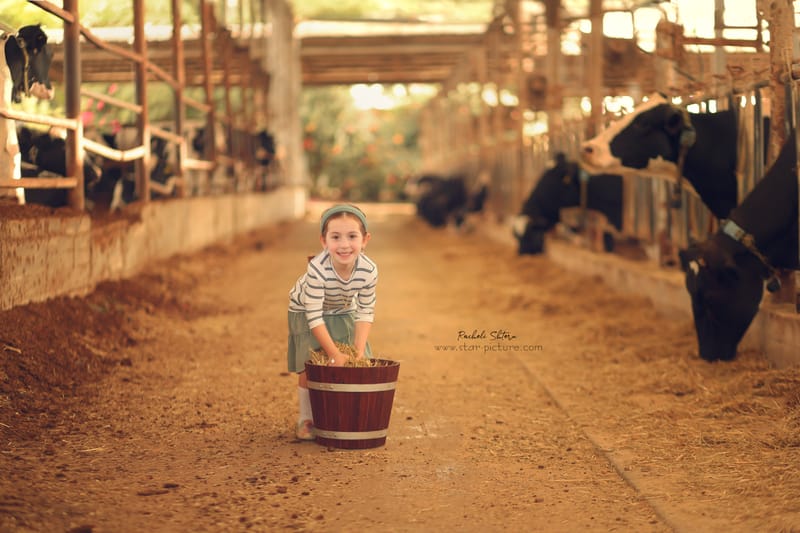 רגעים של הווי וכיף