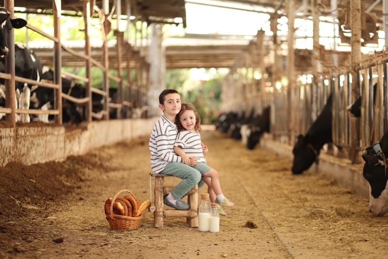 רגעים של הווי וכיף