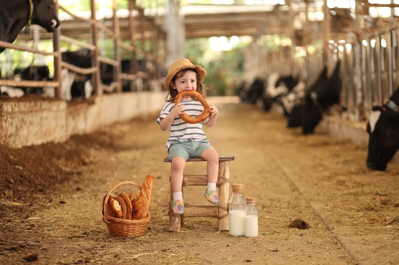 רגעים של הווי וכיף