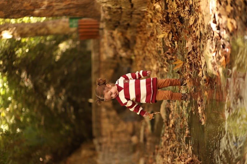 רגעים של הווי וכיף