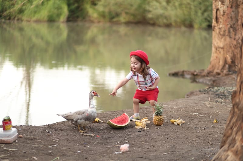 רגעים של הווי וכיף