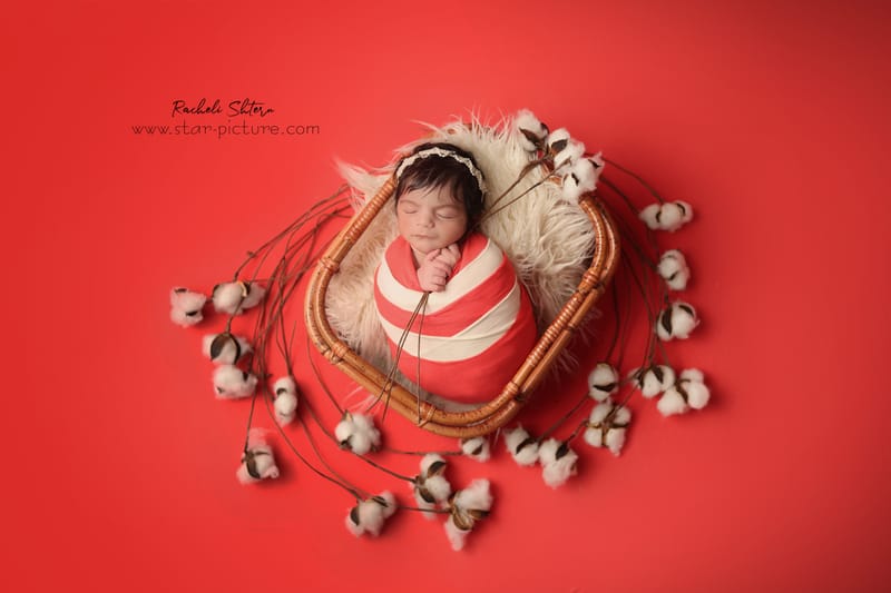 אדום- עוצמה של וורוד