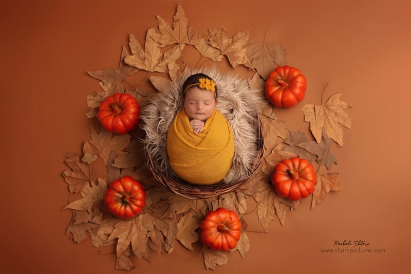 וינטאג- חיים חדשים בניחוח עתיק