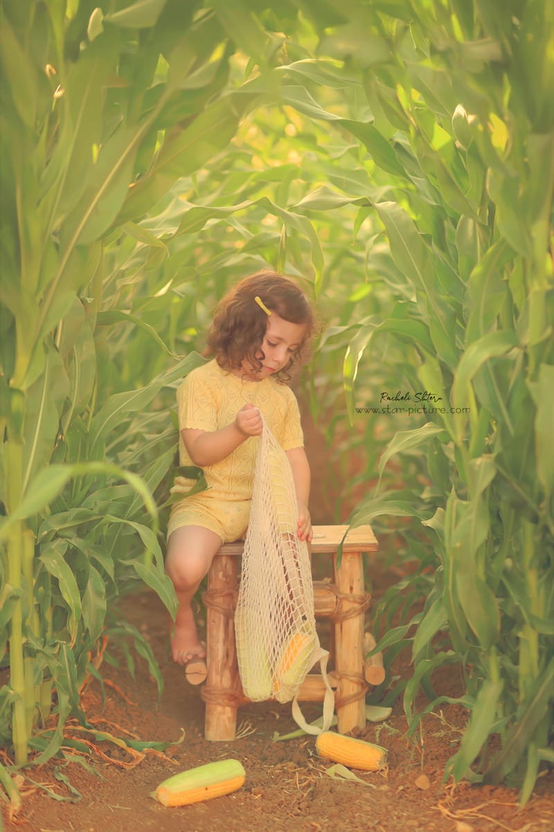 רגעים של הווי, כיף וחמימות משפחתית