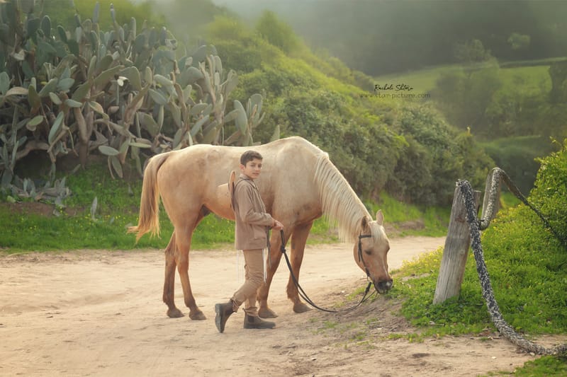 בר מצווה- פסיעה לפני שהנער שלך נהפך לגבר אמיתי:)