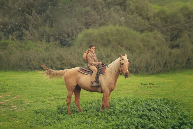 בר מצווה- פסיעה לפני שהנער שלך נהפך לגבר אמיתי:)