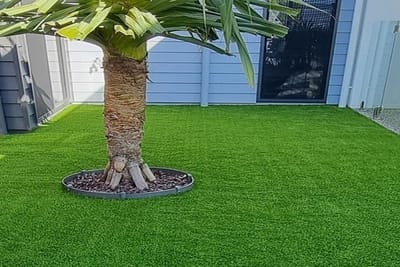 Transform Your Outdoors with Artificial Grass Installation on the Sunshine Coast