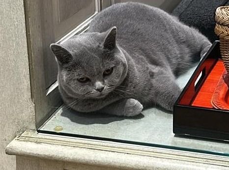 Whisky des Sortiarius