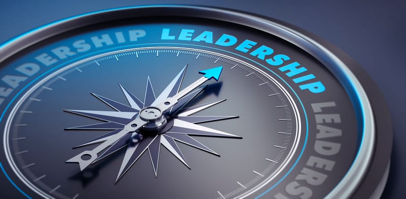 Executive Leadership and Enablement