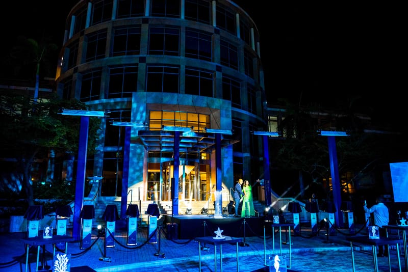 The Caribbean Guilder reveal!