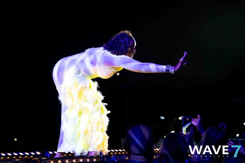 WAVE7 Creatives captures the vibrant energy of CNSJ