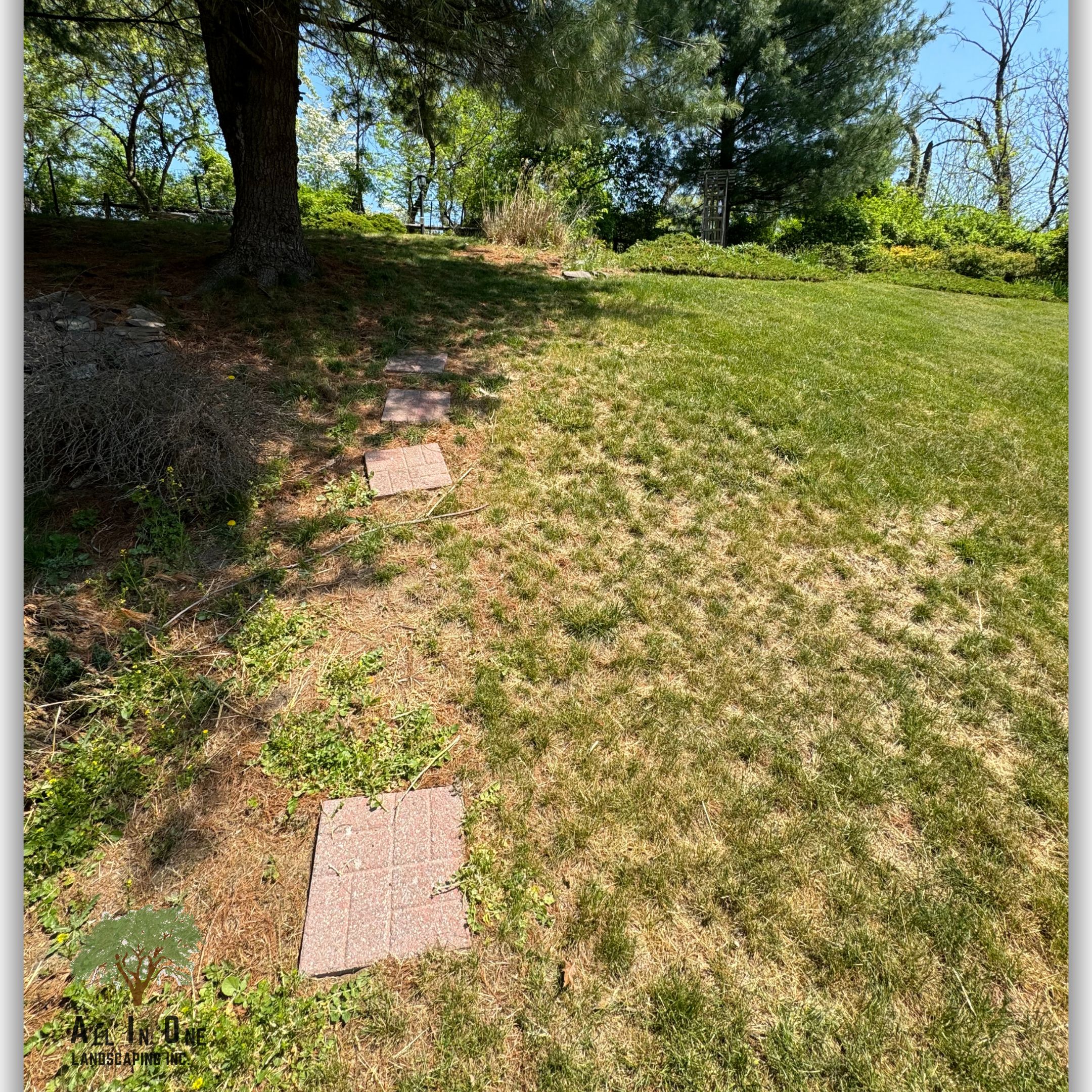 Outdoor steps 