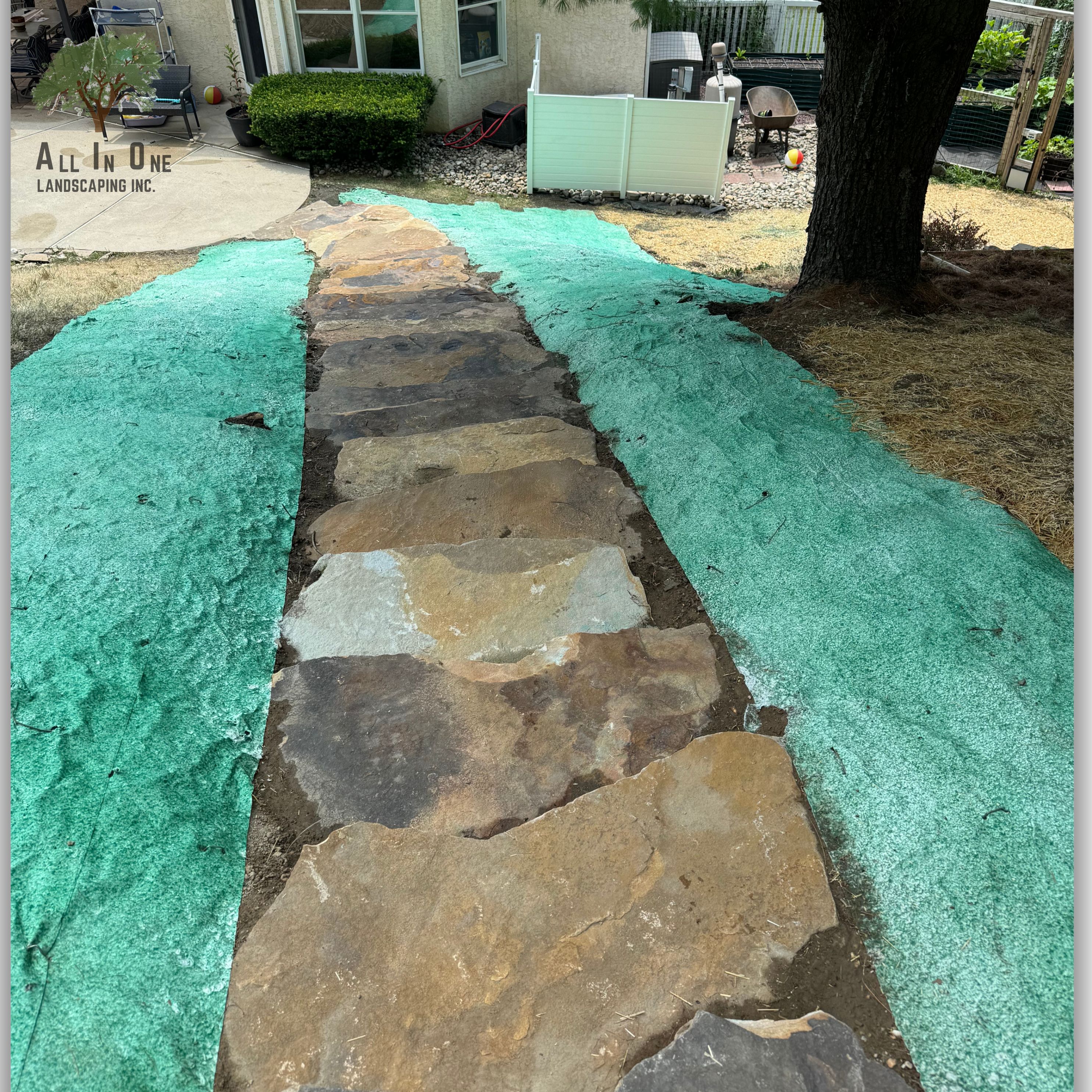 Outdoor steps 