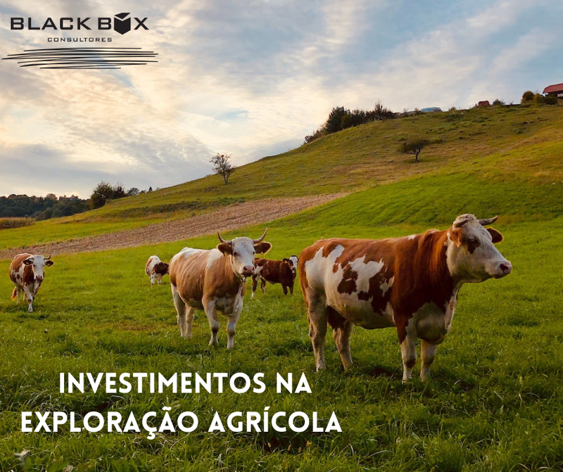 Investimentos na Exploração Agrícola