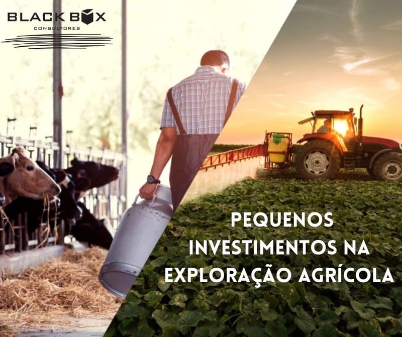 Pequenos Investimentos na Exploração Agrícola