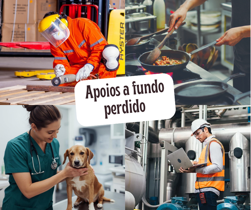 Sistema de Incentivos Base Territorial - Alentejo e Lezíria do Tejo