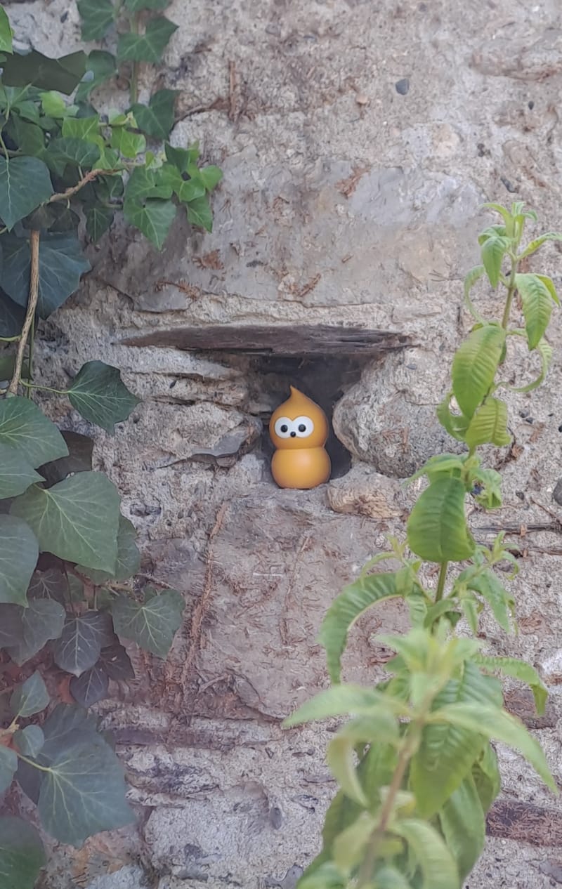 Le jardin aime les détails. Ils sont sa façon de respirer.