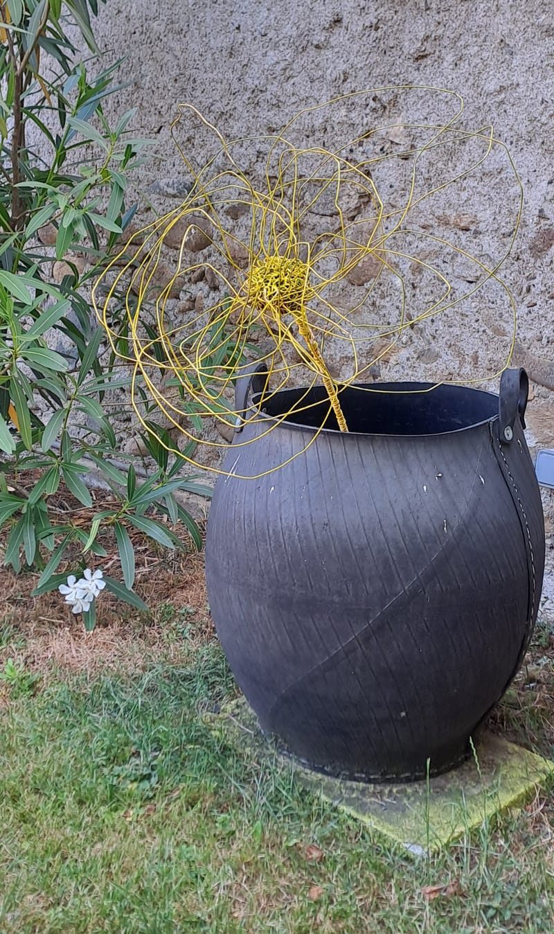 Le jardin aime les détails. Ils sont sa façon de respirer.