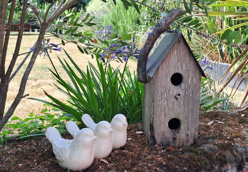 Le jardin aime les détails. Ils sont sa façon de respirer.