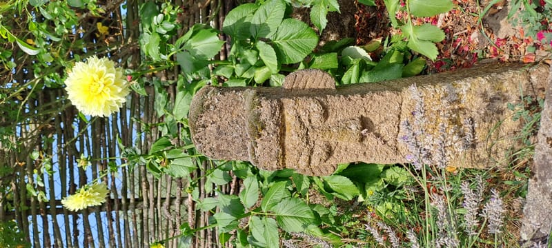 Le jardin aime les détails. Ils sont sa façon de respirer.