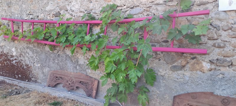 Le jardin aime les détails. Ils sont sa façon de respirer.