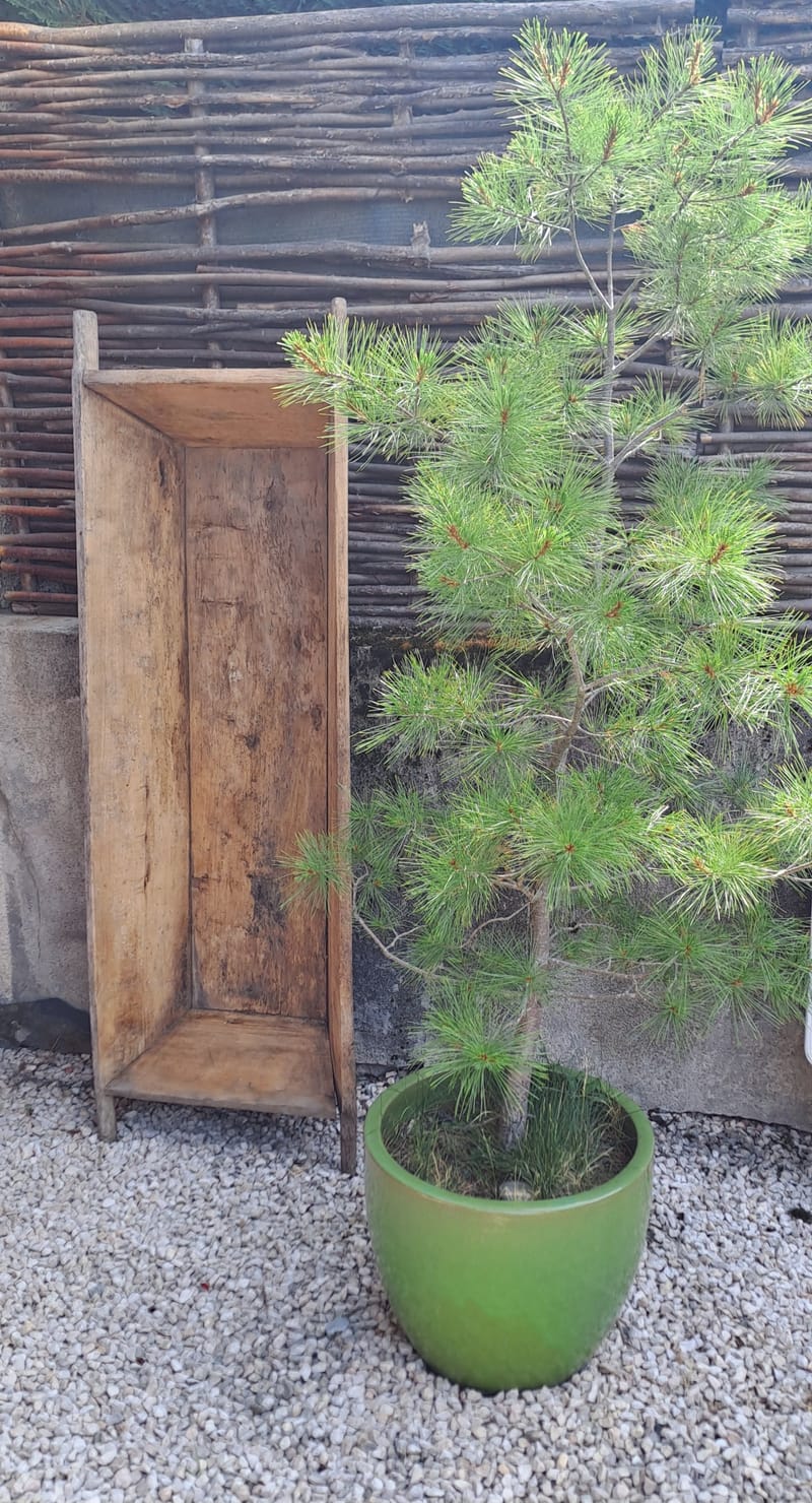 Le jardin aime les détails. Ils sont sa façon de respirer.