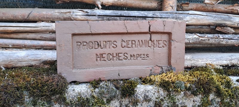 Le jardin aime les détails. Ils sont sa façon de respirer.