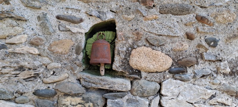 Le jardin aime les détails. Ils sont sa façon de respirer.