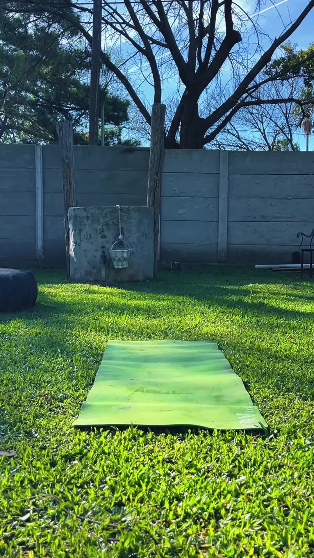 Ganando Fuerza en Flexiones de Brazos
