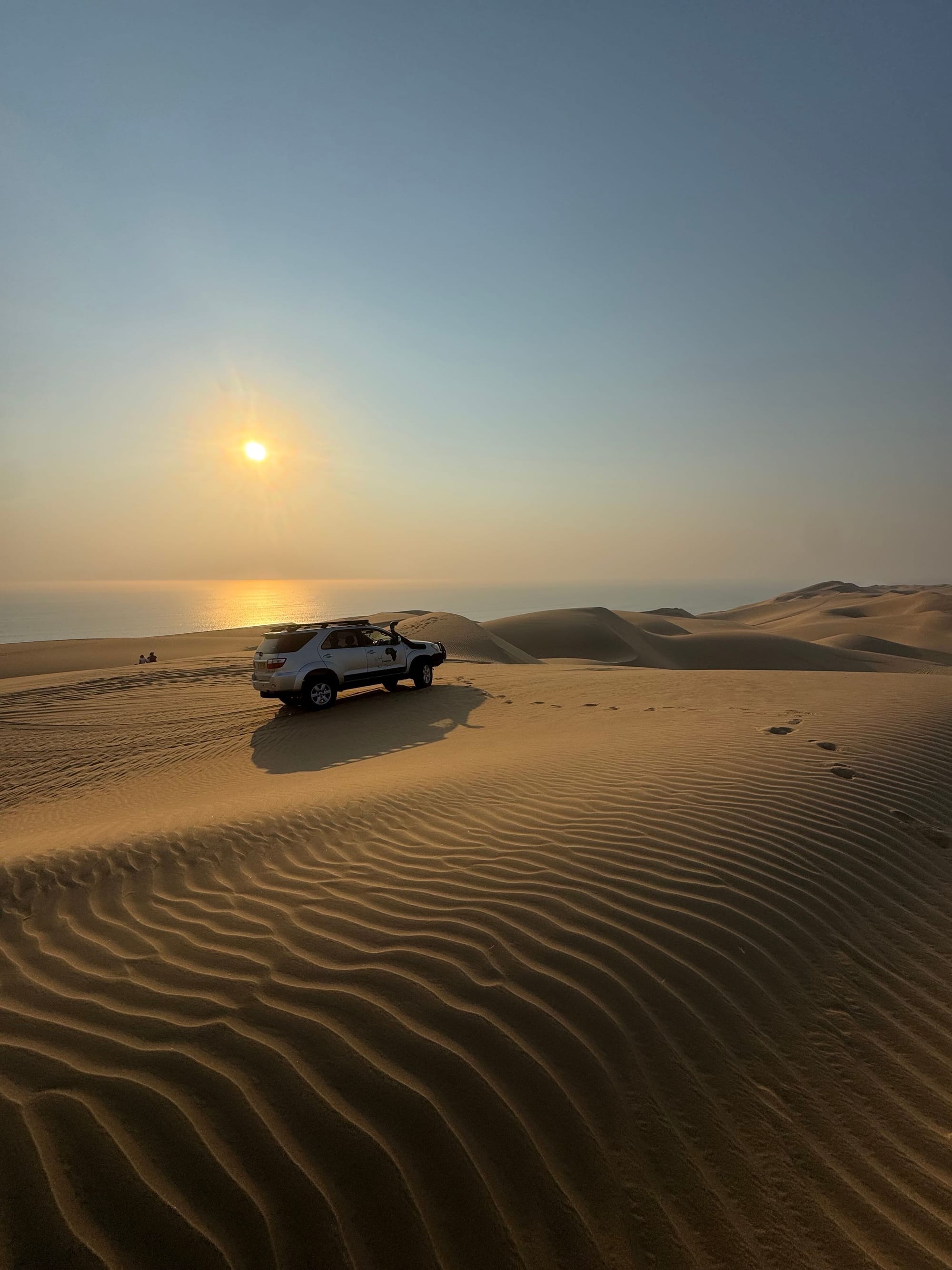 Desert Compass Tours & Safaris