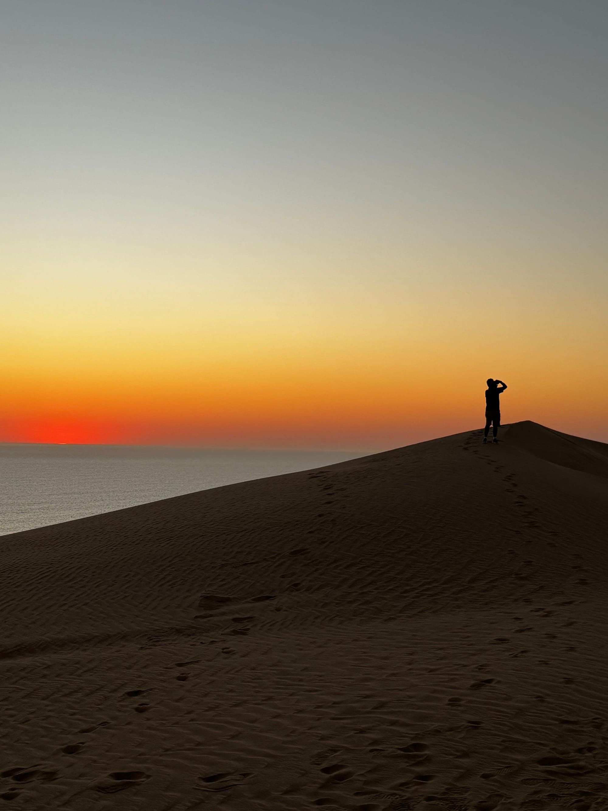 Desert Compass Tours and Safaris