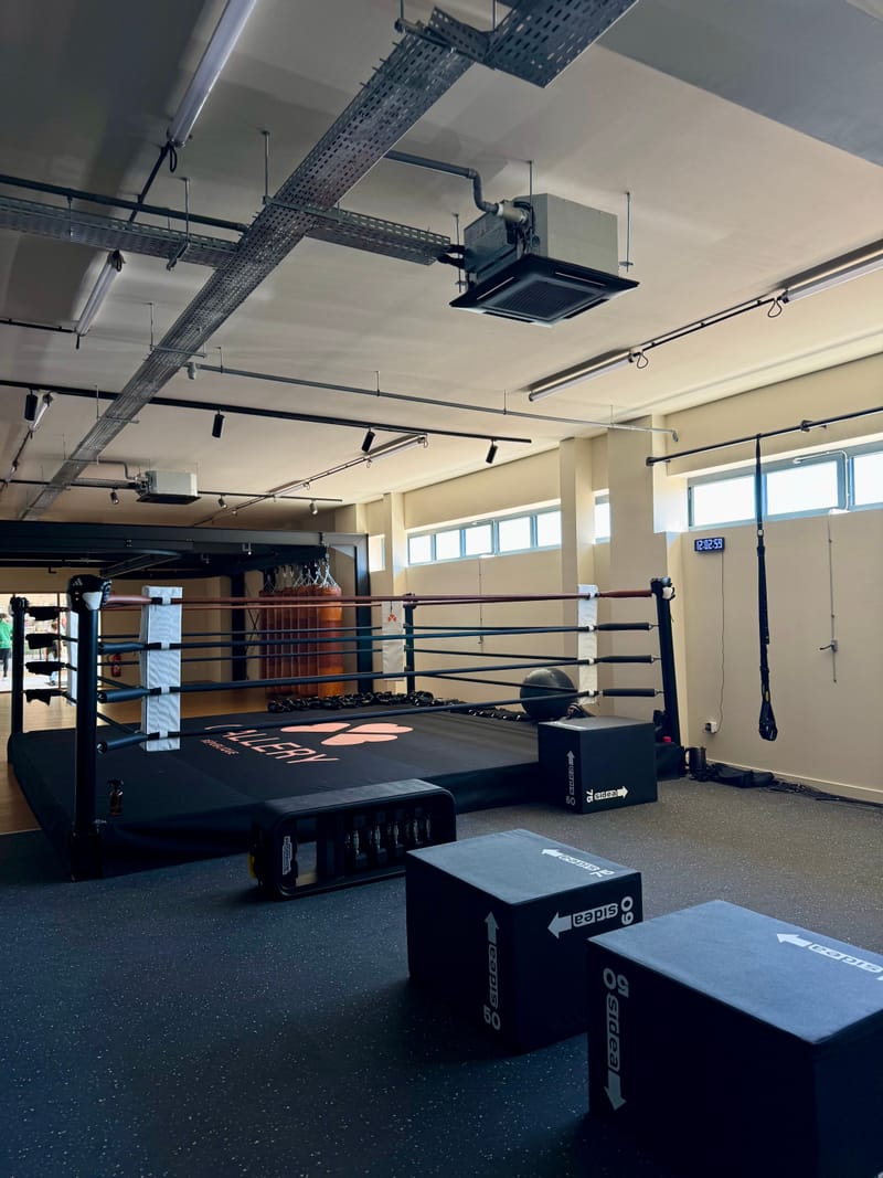 GALLERYE RÉPUBLIQUE (86)