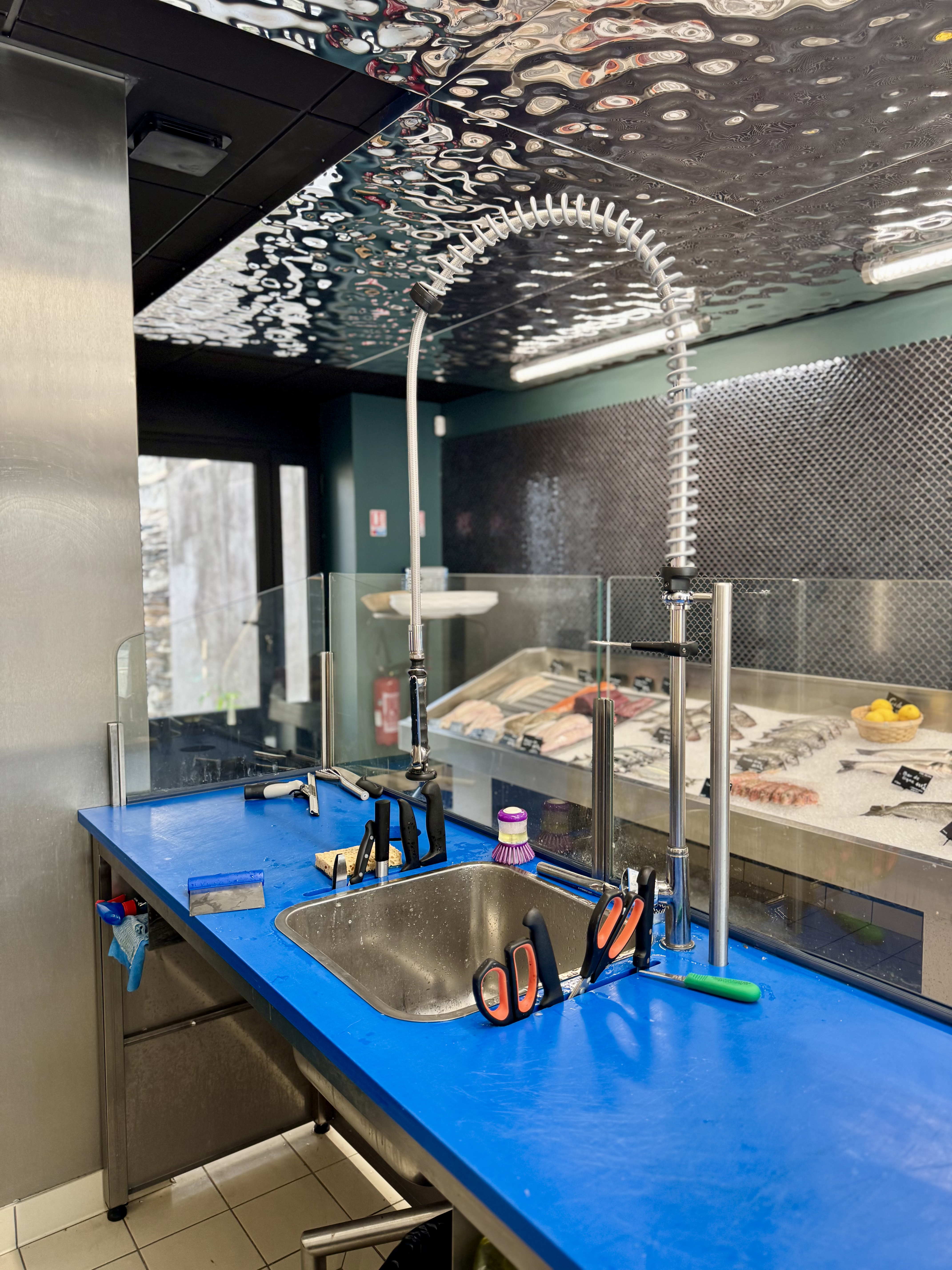 FISH SHOP AT THE HIGH SCHOOL (49)