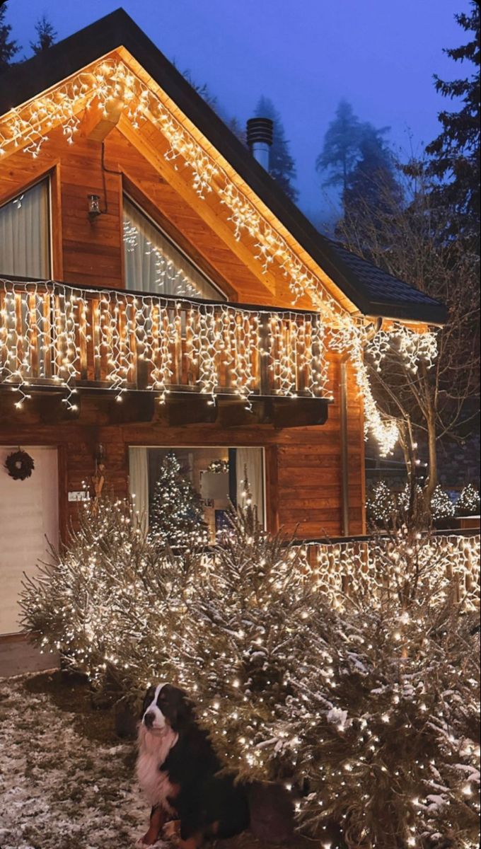 Guirnaldas Vip: El rey de la navidad