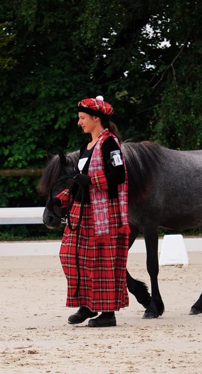 Tout savoir sur le Poney Highland