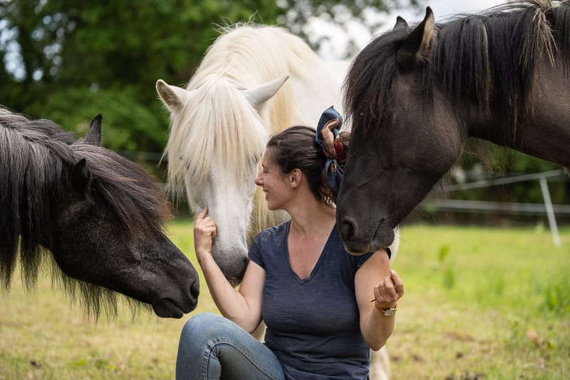 Mes poneys Highland