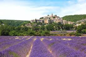 Excursions privées et personnalisées dans toute la région