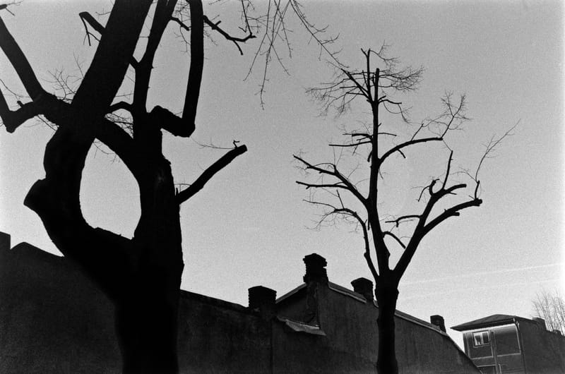 Q&A about film photography