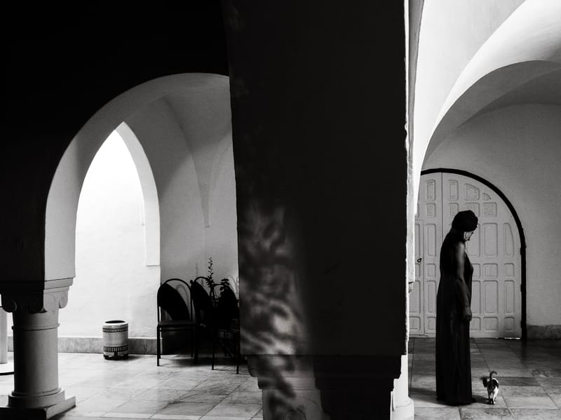 Dar Sebastian - Sebastian's Home in Hammamet