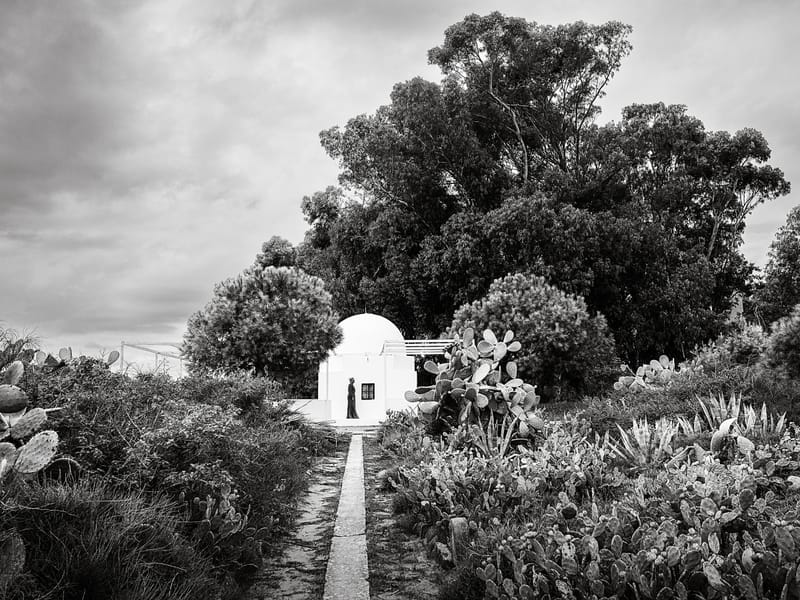 Dar Sebastian - Sebastian's Home in Hammamet