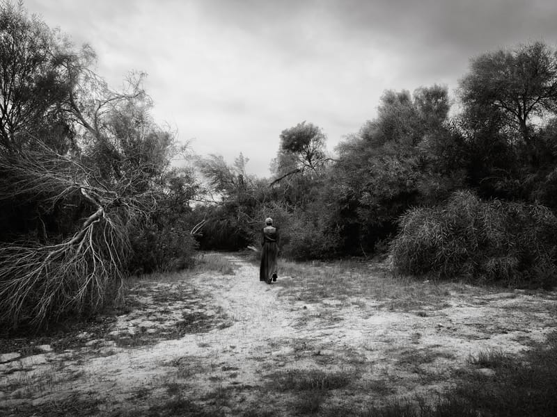 Dar Sebastian - Sebastian's Home in Hammamet