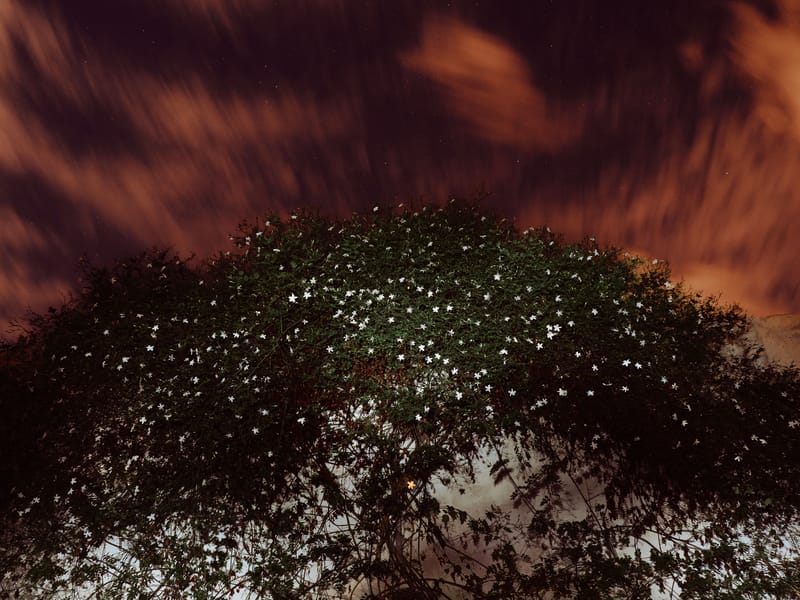 Dar Sebastian - Sebastian's Home in Hammamet