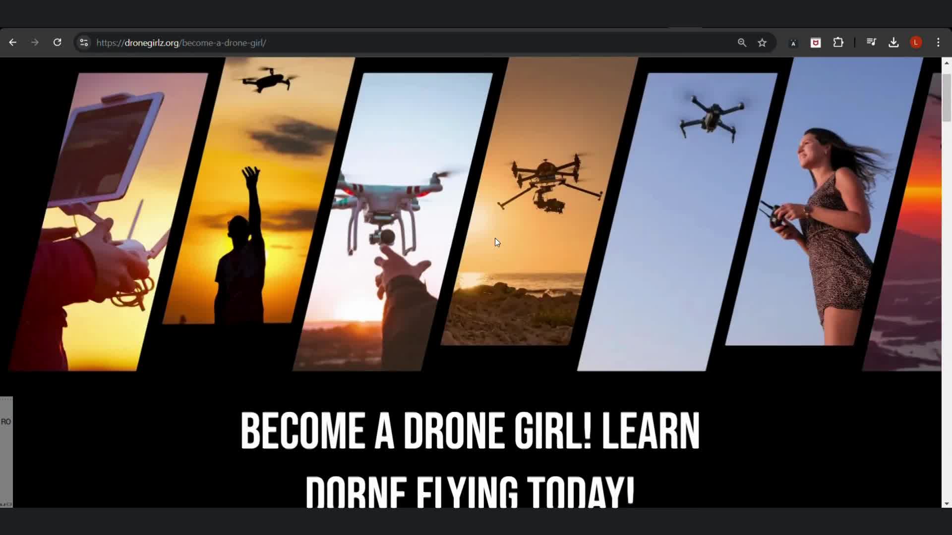 Full Website Optimization, Landing Pages, Blogs and Social Media Posts