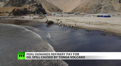Repsol's massive oil leak kills marine life