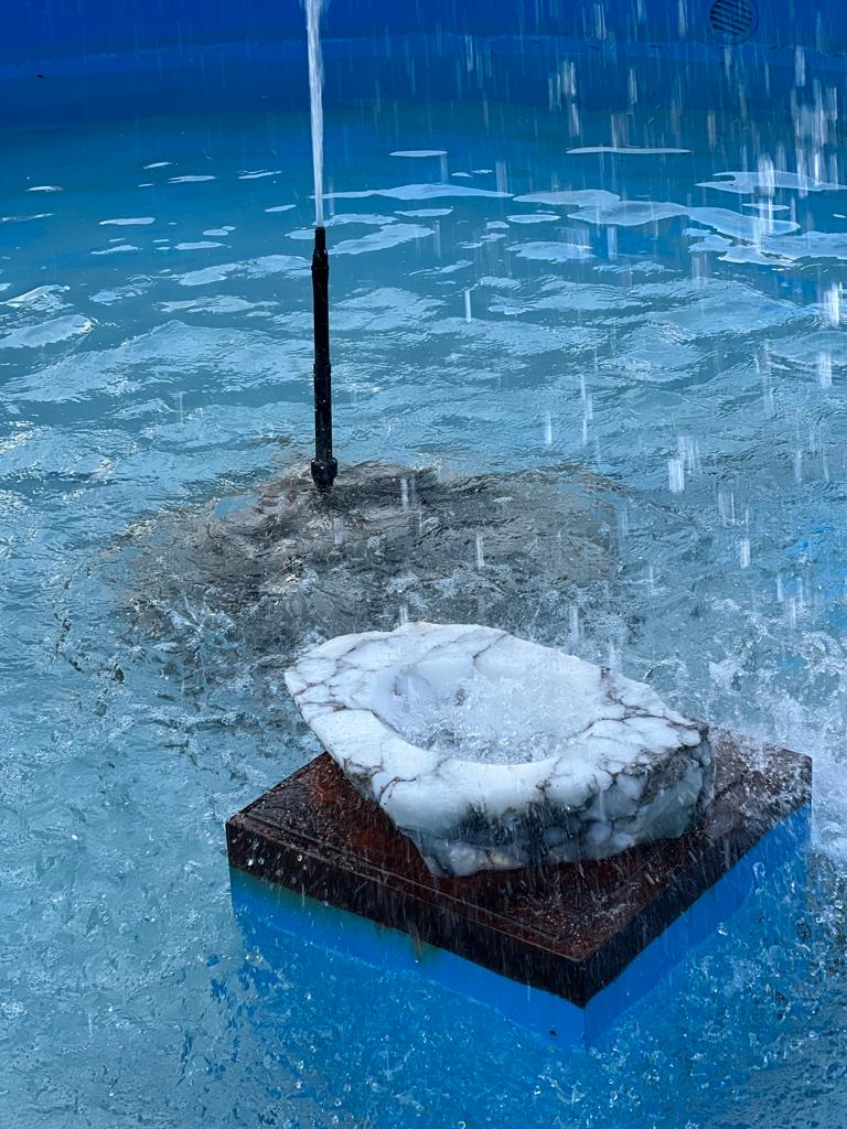 “Creazione” di Marco Biagini 2021