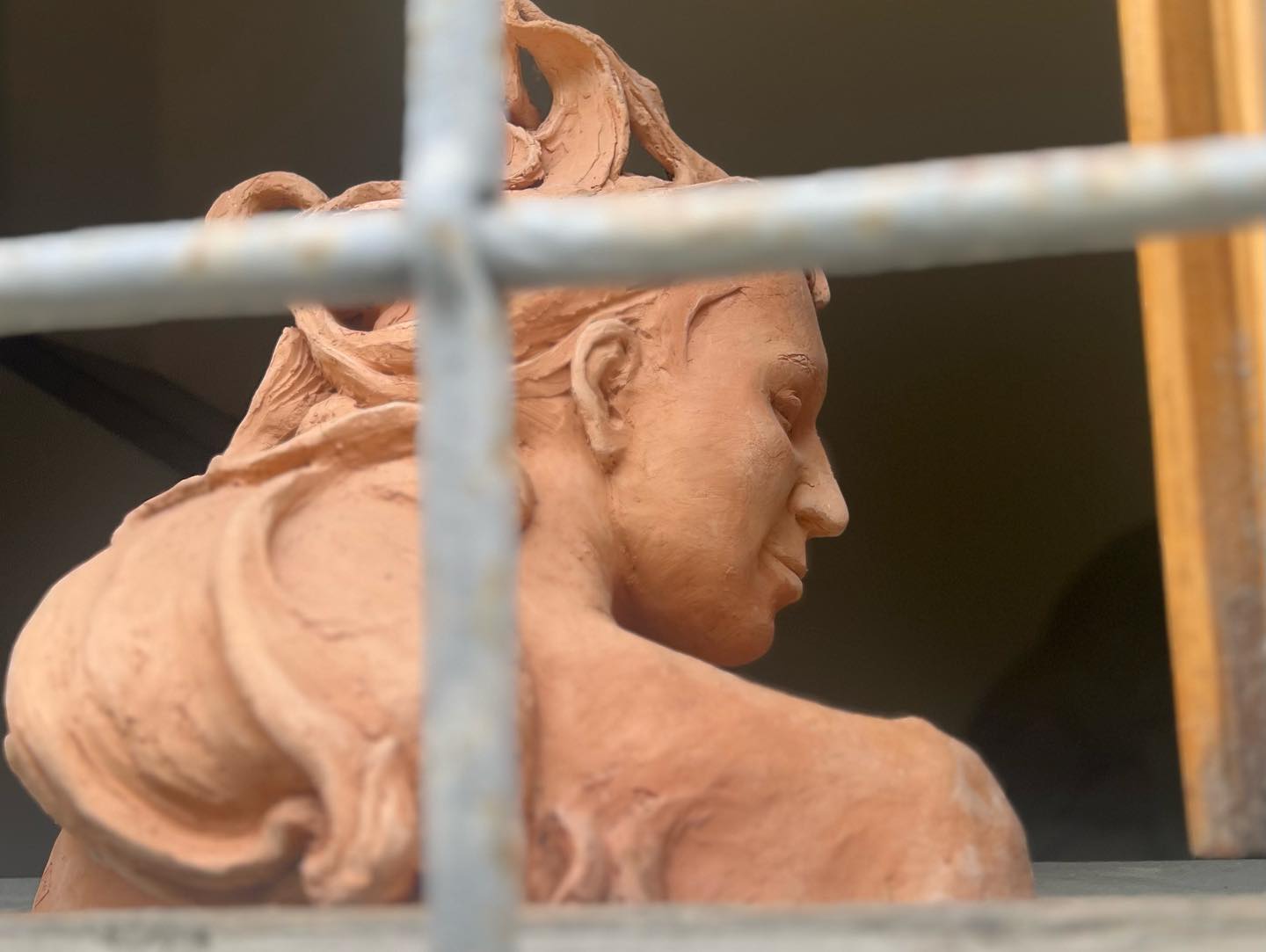 Salome di Cristina Innocenti  2017